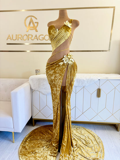 Clearey Gown