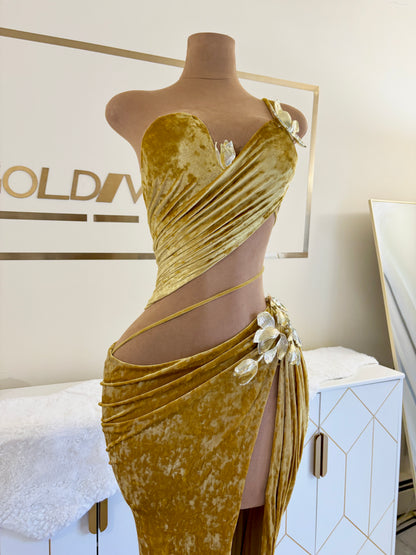 Clearey Gown