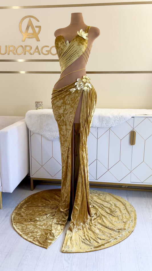 Clearey Gown